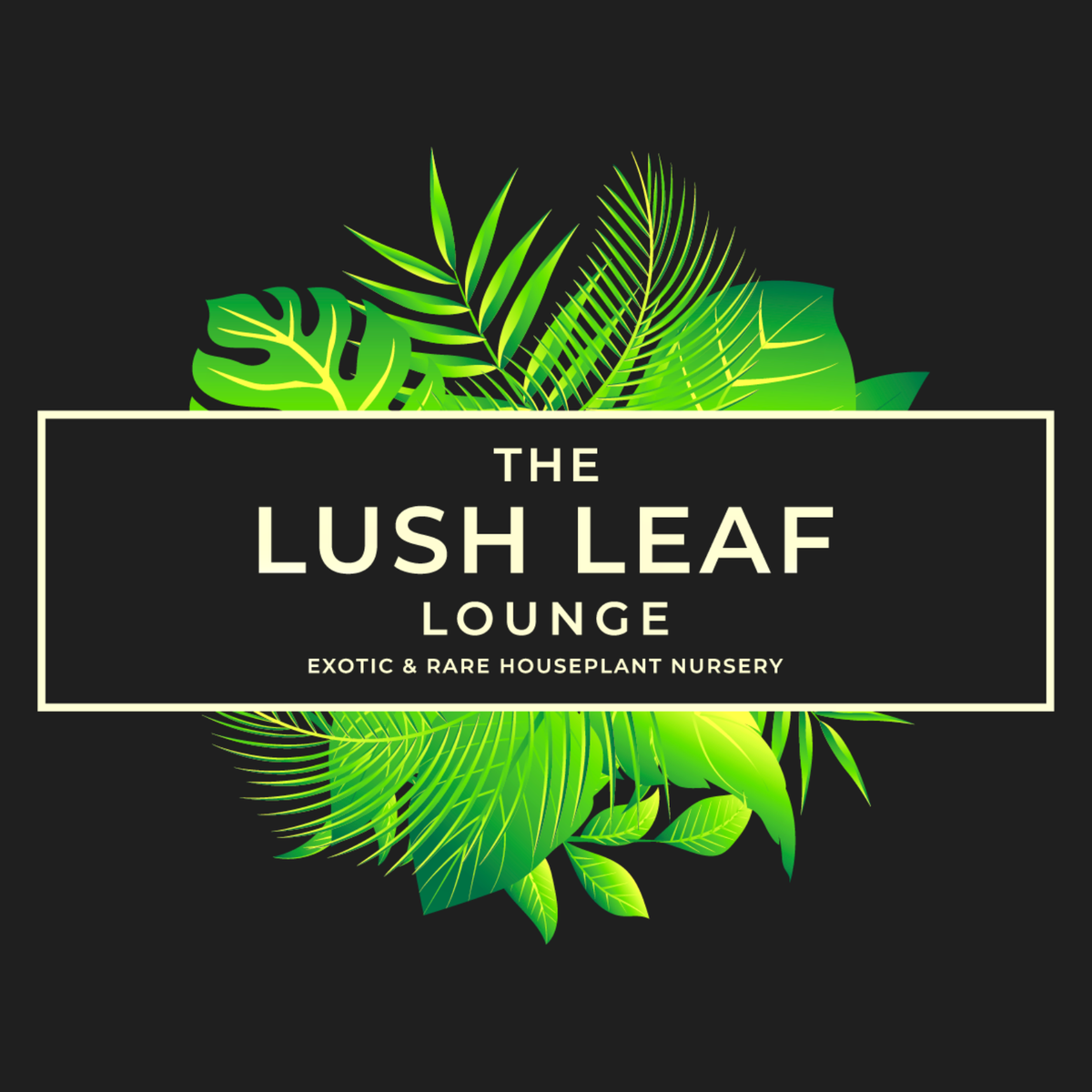 Lush Leaf Lounge