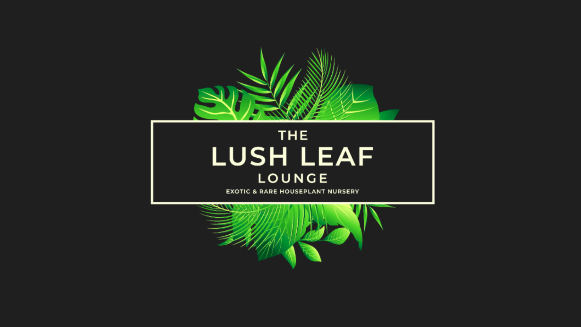 Lush Leaf Lounge